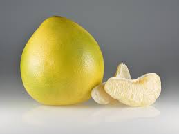Pomelo Citrus maxima or Lemon Citrus limon seeds for planting in home garden